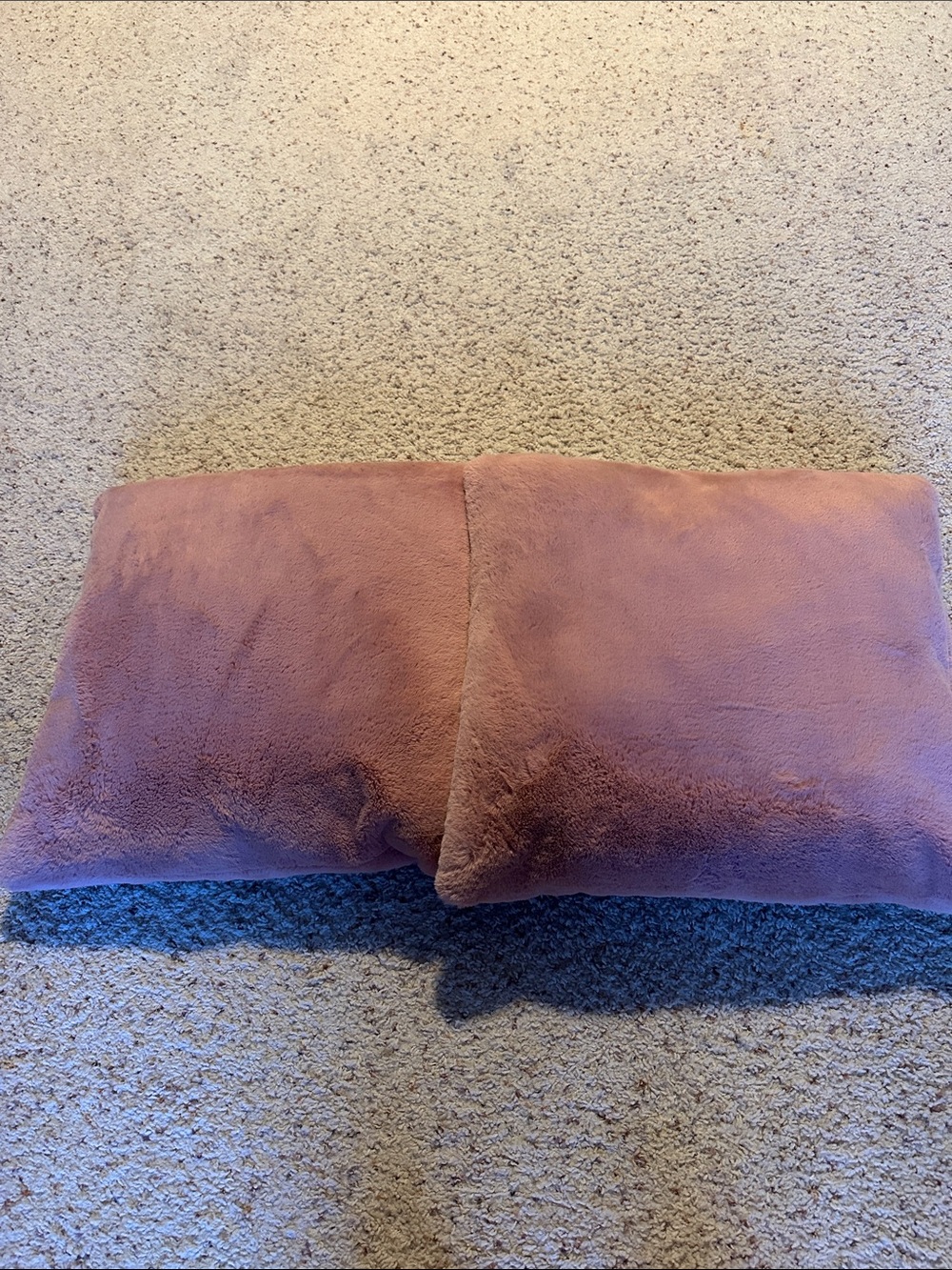 Plush Decorative Throw Pillow Pair - Dusty Rose